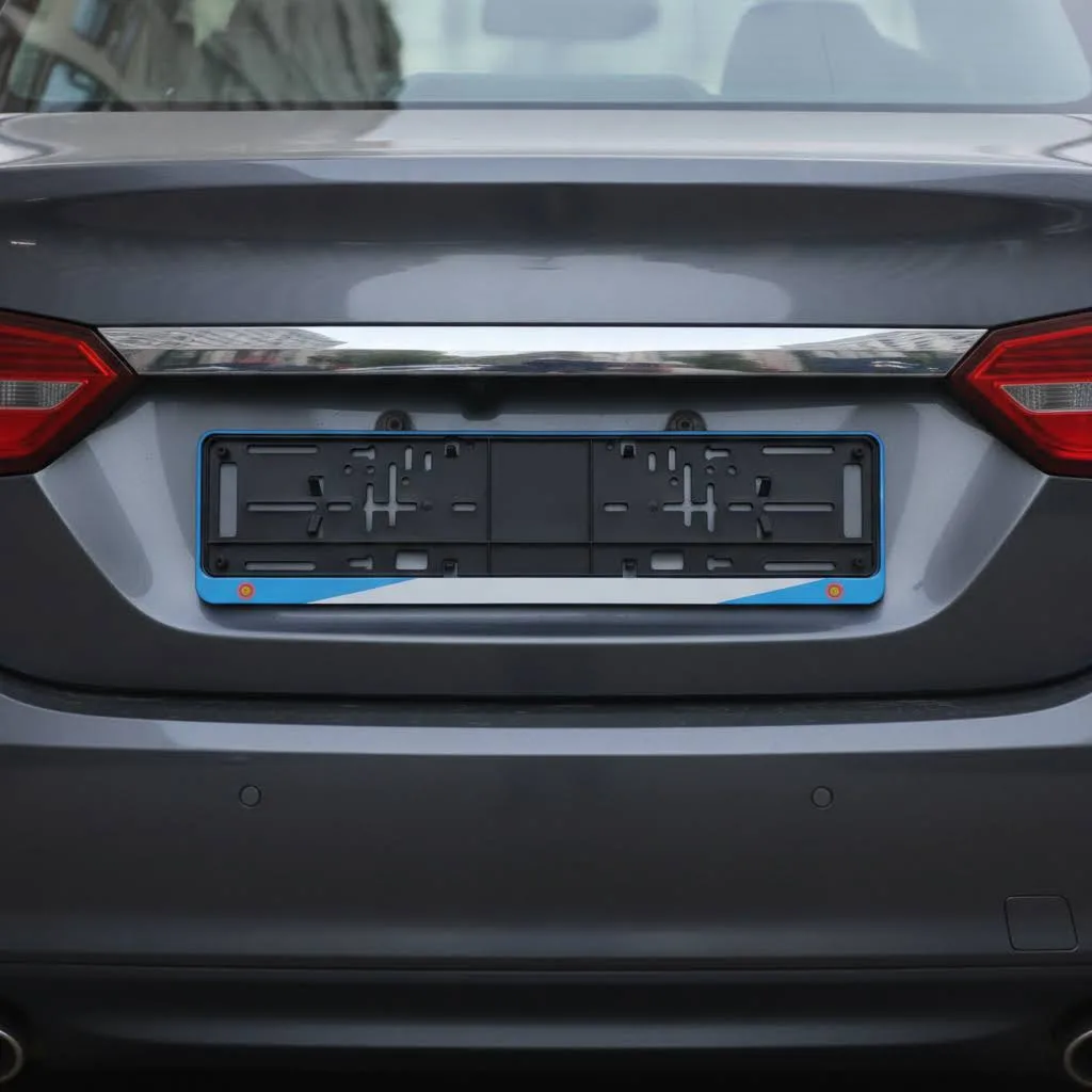Porte plaque voiture Argentine à personnaliser